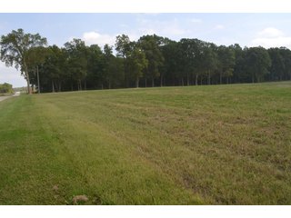 Dekalb County, Indiana Farmland - MAJOR LAND AUCTION - 516+/- ACRES OFFERED IN 18 TRACTS OR COMBINATIONS IN DEKALB COUNTY, INDIANA